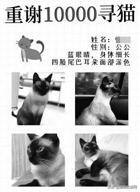 悬赏猫，比较可靠的兼职APP探索