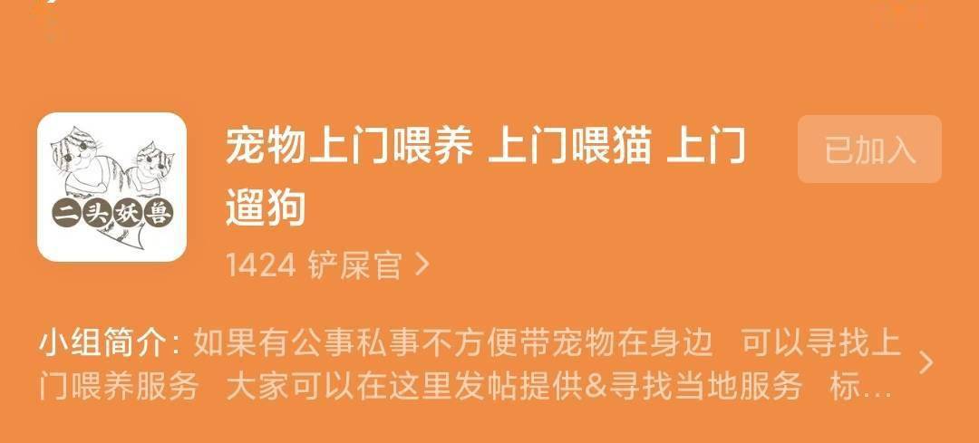 揭秘四肖八码中特期期的精准预测与理性分析四肖八码中特期期准精选资料