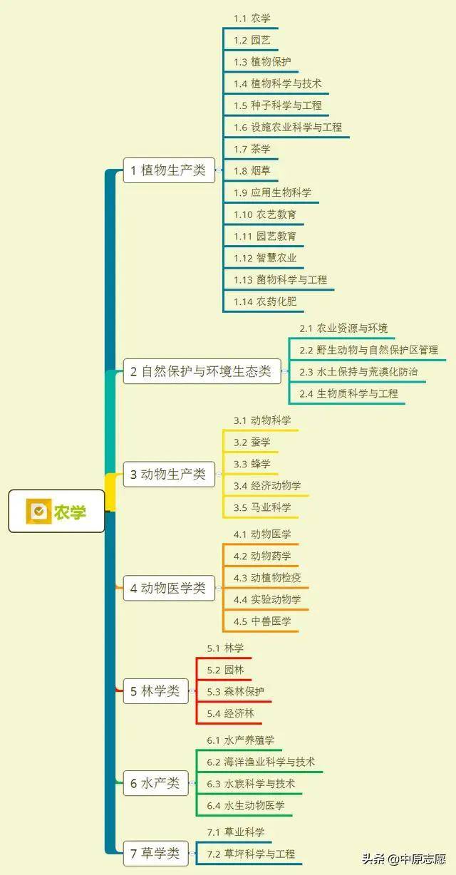 3D走势图，专业彩吧的透视眼