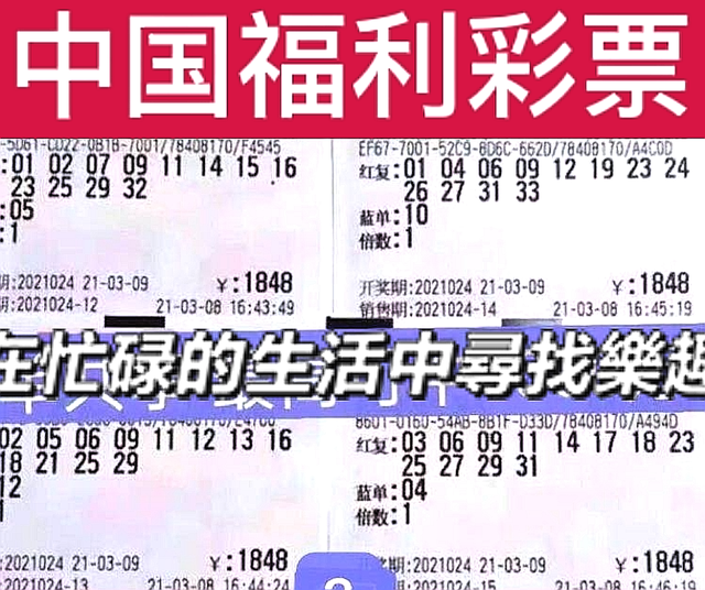 揭秘双色球第3019期开奖结果，彩民们的期待与惊喜