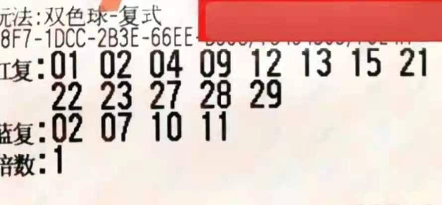 双色球63期开奖公告，梦想与幸运的碰撞，揭晓今晚神秘数字