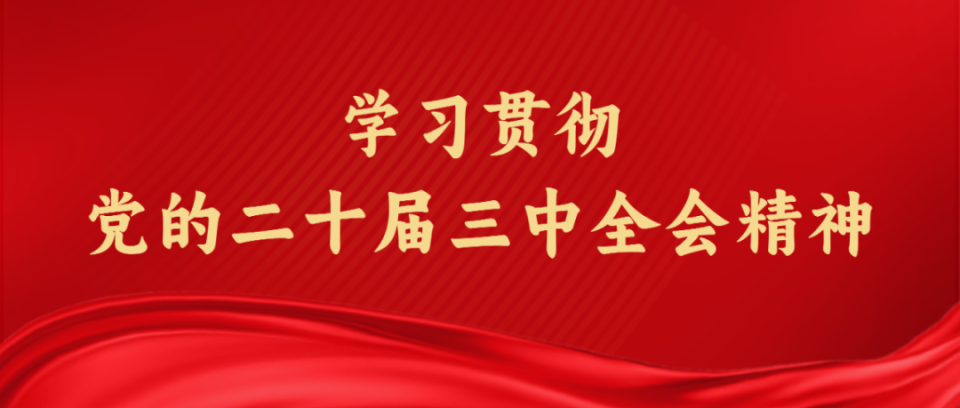 探秘上海福利彩票2019年第34期，公益与梦想的交汇点