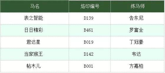 今日特马揭晓，探寻幸运的奥秘与结果今天码开什么特马