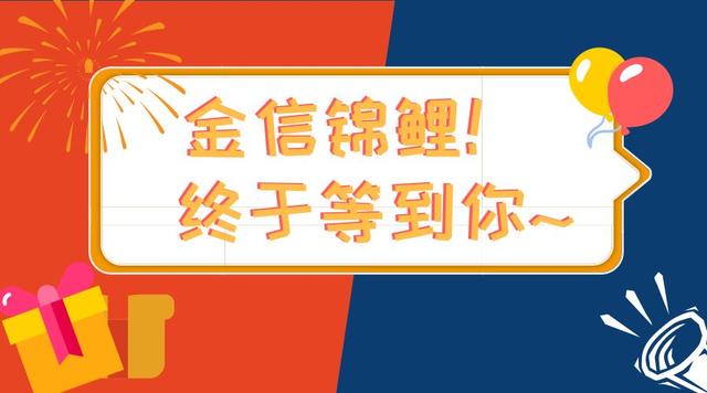 澳门新彩今日揭晓，梦想与幸运的碰撞今天新澳门开奖结果是什么