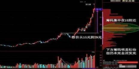 澳门四肖八码精选期，揭秘精准预测的背后澳门四肖八码精选期期准亮点