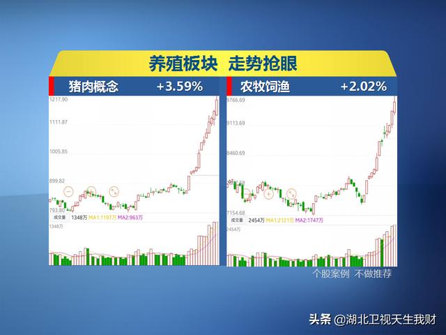 澳门三肖与精准预测，一场理性与非理性的博弈澳门三肖3码精选资料期期