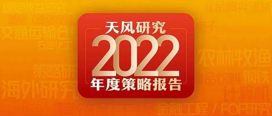 2046年，管家婆的马资料—未来赛场上的智慧与策略管家婆24马精选