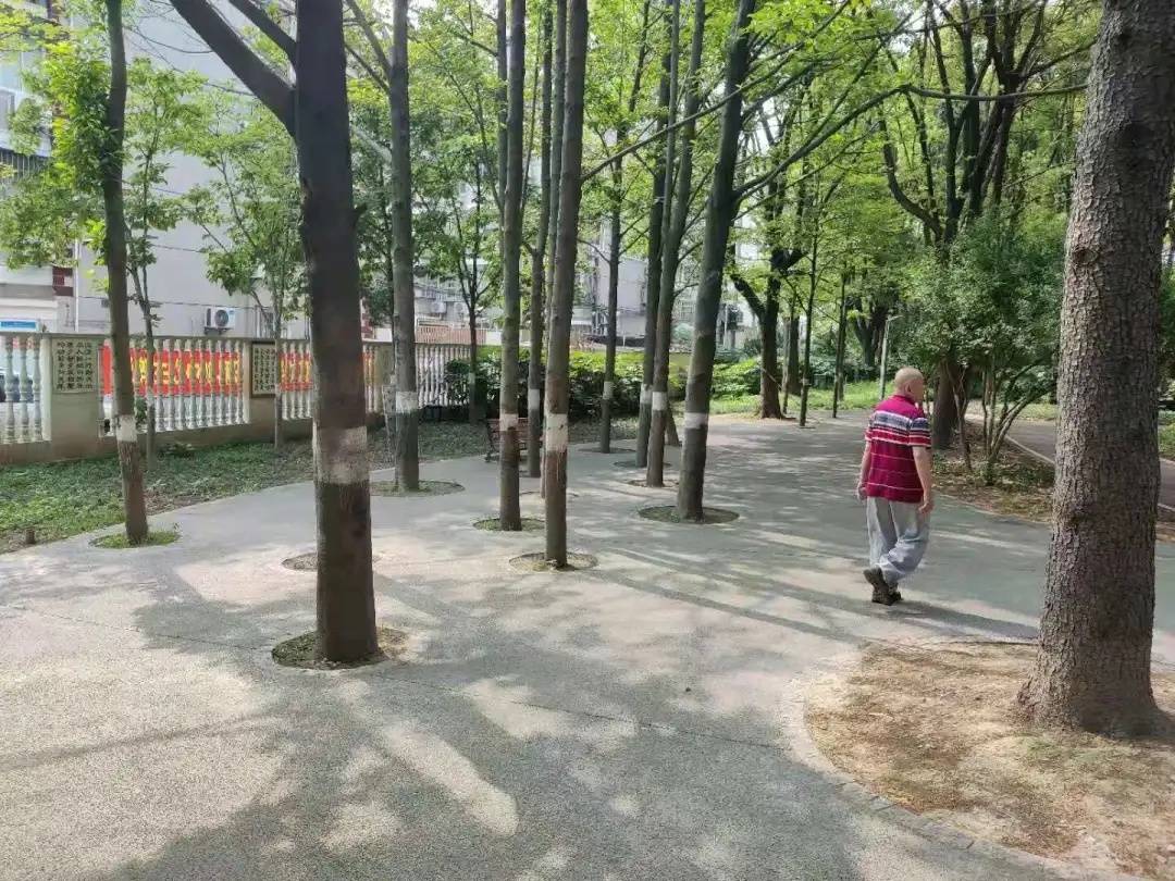 守护正版