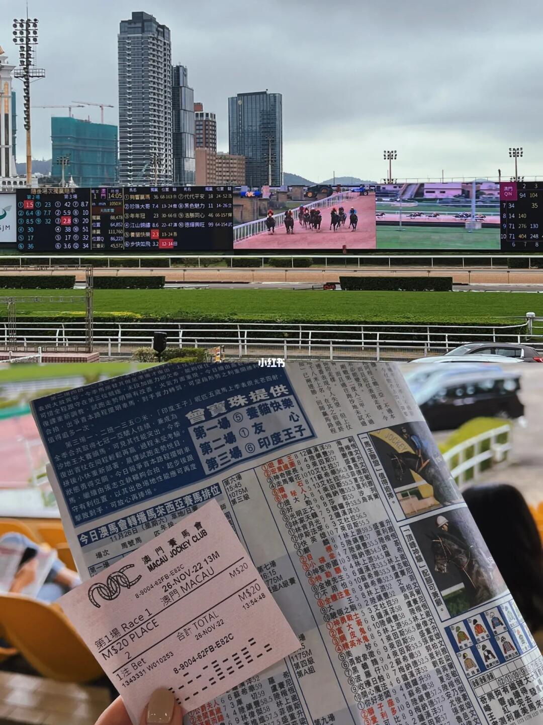 今期马会传真，揭秘香港赛马的魅力与影响今期马会传真内部封信