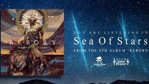 星辰之海—访问网站新纪元(www.cn-starrysea)
