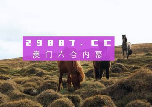 澳门开奖现场直播，官方视频大全的精彩瞬间与透明度提升澳门开奖现场直播平台-澳门开奖结果查询-最火手机站