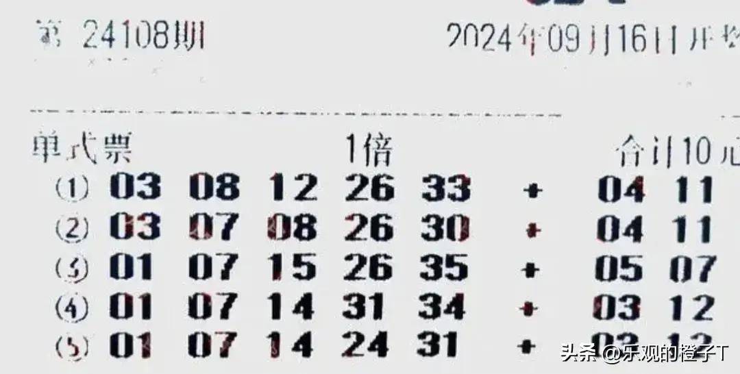 探索新澳门彩49-开奖记录，图片查询与理性投注的平衡新澳门彩4949开奖记录图片查询结果