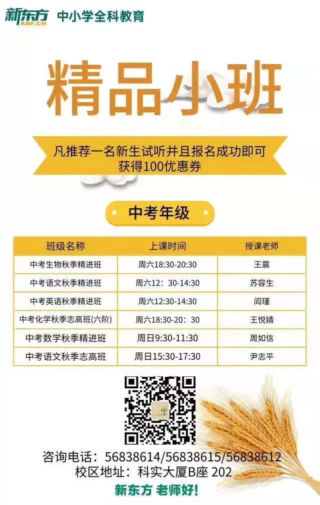 澳门彩开奖新纪元，204年最新结果查询与汇总图解析澳门202|开奖结果