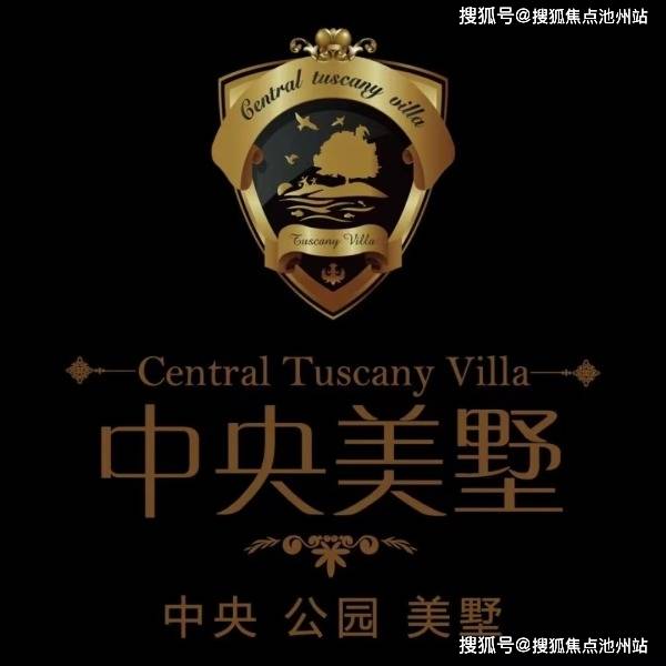 澳门新彩，204年开奖结果查询官方网址全解析2020年澳门最新开奖结果