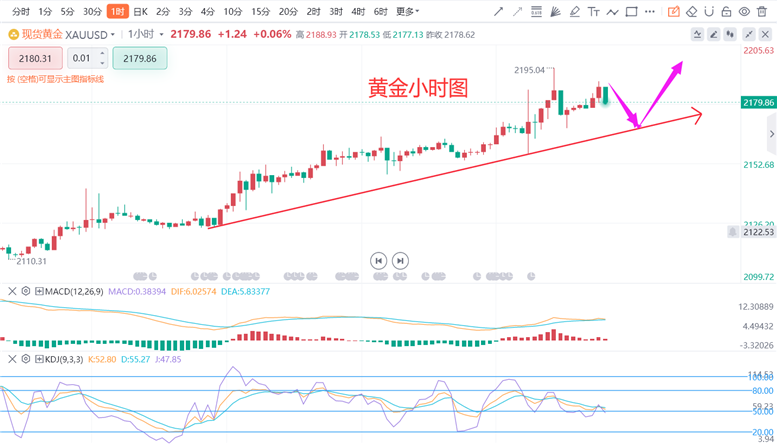 澳门彩号综合走势分析，揭秘新趋势与策略新浪澳门即时动态